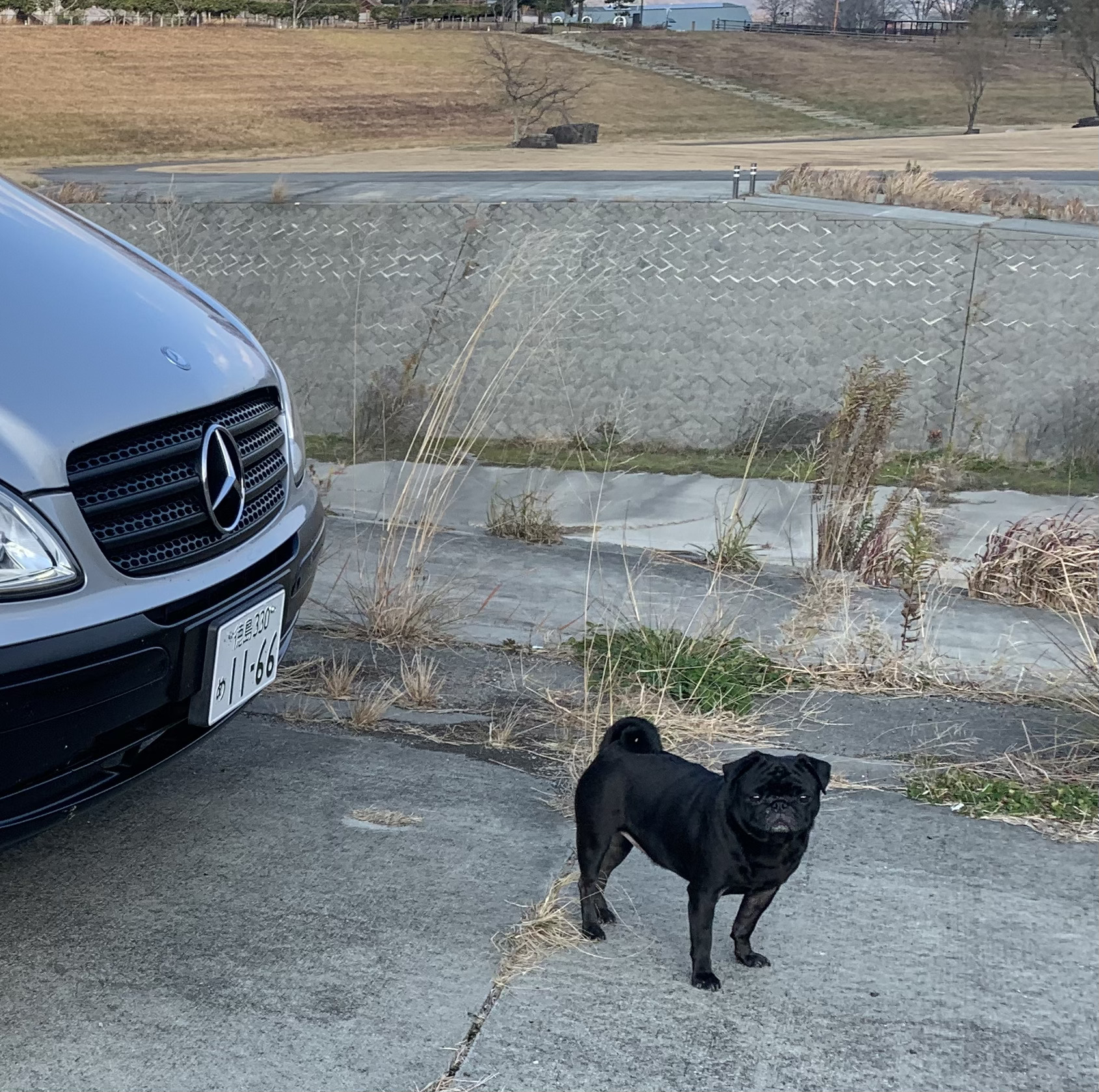 IMG_0547 - 徳島のガラスコーティング・セラミックコーティング専門店 スープ