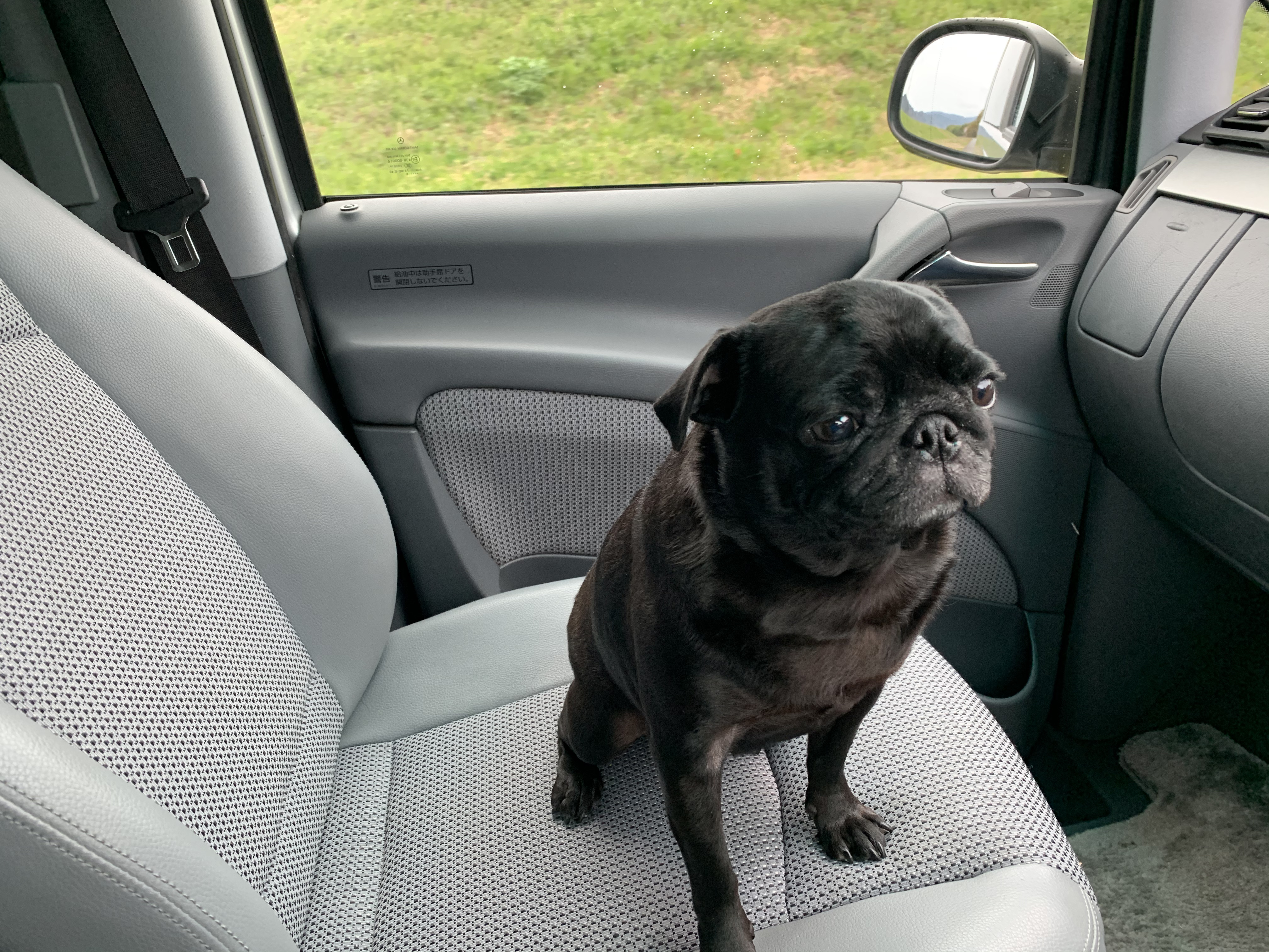 IMG_7702 - 徳島のガラスコーティング・セラミックコーティング専門店 スープ