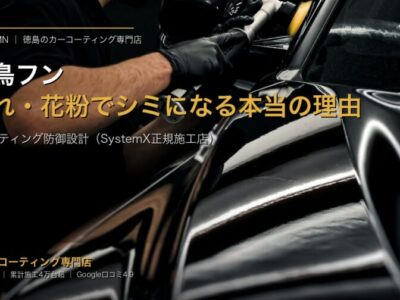 春の鳥フン・虫汚れ・花粉でシミになる本当の理由 - カーコーティング専門店SOUP（徳島）