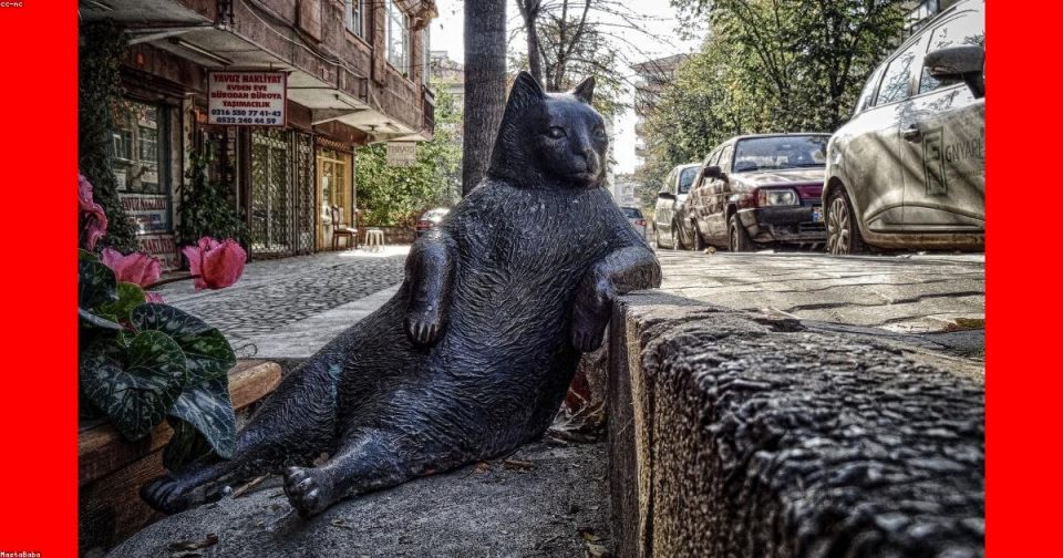 Life-size black cat statue lounging on a curb along a city street with parked cars and storefronts in the background.