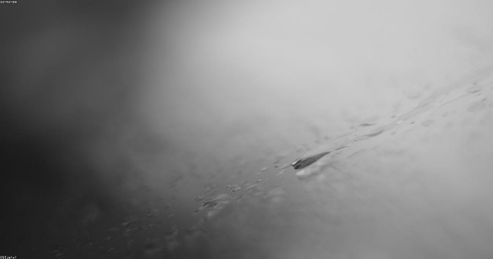 Monochrome close-up of a water droplet creating ripples on a calm surface, grayscale tones.