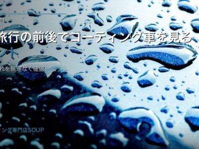 徳島旅行後のコーティング車に付いた虫汚れや水筋を明るい場所で確認するイメージ