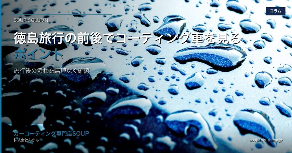 徳島旅行後のコーティング車に付いた虫汚れや水筋を明るい場所で確認するイメージ