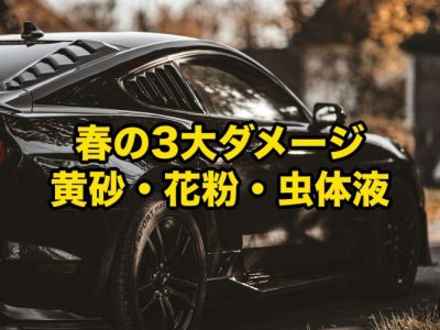 Black car with bold yellow Japanese text about spring’s three main damages: yellow dust, pollen, and insect fluids.