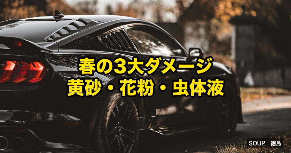 Black car with bold yellow Japanese text about spring’s three main damages: yellow dust, pollen, and insect fluids.