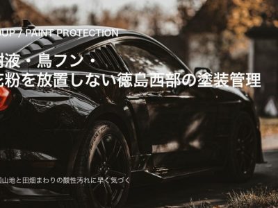 四国山地周辺の道路を走る黒い車と樹液・花粉対策を示すSOUPコーティング記事のアイキャッチ