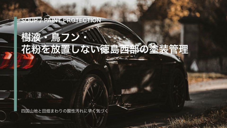 四国山地周辺の道路を走る黒い車と樹液・花粉対策を示すSOUPコーティング記事のアイキャッチ